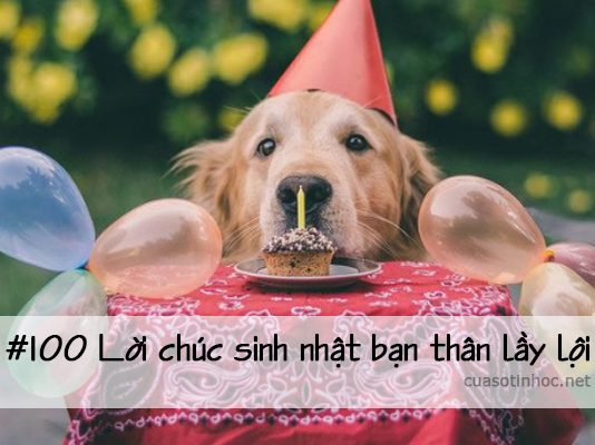 #100 lời chúc sinh nhật bạn thân lầy lội 2018