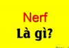 Nerf là gì