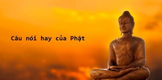 Câu nói hay của phật