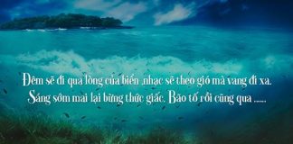 câu nói hay về biển