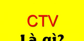 CTV là gì