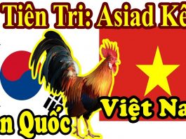 Dự đoán kết quả trận đấu giữa u23 việt nam với u23 hàn quốc