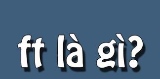 Ft là gì ? FT có ý nghĩa gì