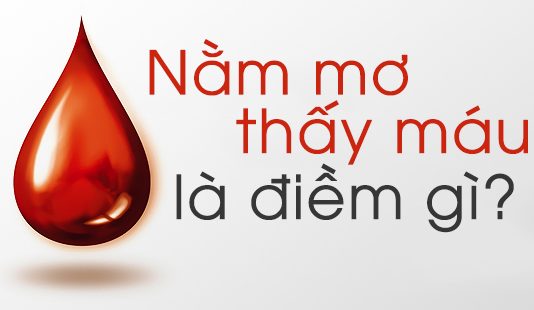 Mơ thấy máu lành hay dữ, mơ thấy máu đánh con gì?