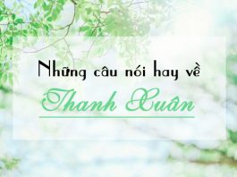 Những câu nói hay về thanh xuân
