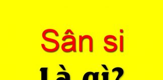 Sân si là gì