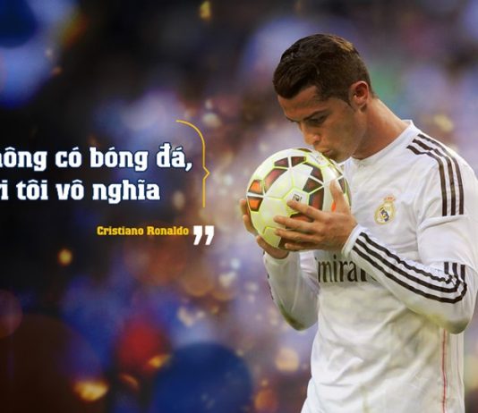 stt bóng đá