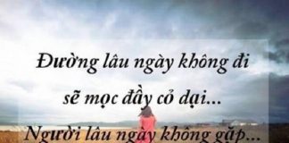 18+ stt buồn ngắn về tình yêu ý nghĩa nhất