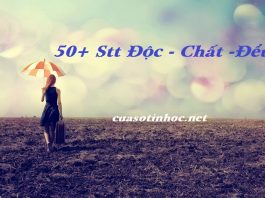 50+ Stt độc - chất - đểu được nhiều share nhất trên mạng xã hội