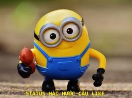stt hài hước câu like