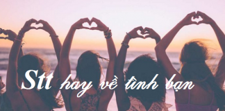 Stt hay về tình bạn