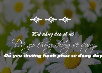 stt ngầu về cuộc sống