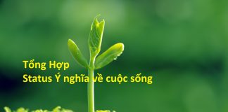 Stt ý nghĩa nhất về cuộc sống, tình yêu giúp bạn lấy lại niềm tin trong cuộc sống