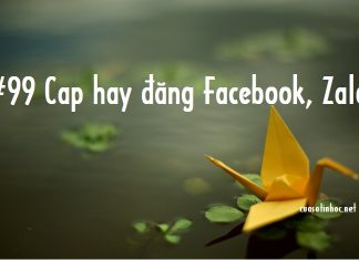 #99 Cap hay đăng Facebook, Zalo thu hút "triệu like"