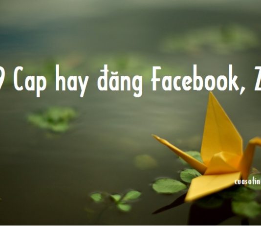 #99 Cap hay đăng Facebook, Zalo thu hút "triệu like"