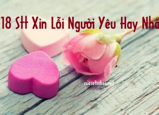 #18 stt xin lỗi người yêu hay và ý nghĩa giúp các đôi "gương vỡ lại lành"