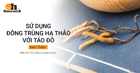 Táo đỏ kỷ tử bao nhiêu calo?