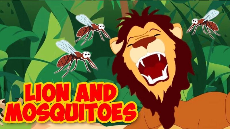 Lions and mosquitoes