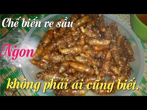 Con ve sầu ăn gì