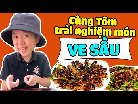 ăn ve sầu có độc không