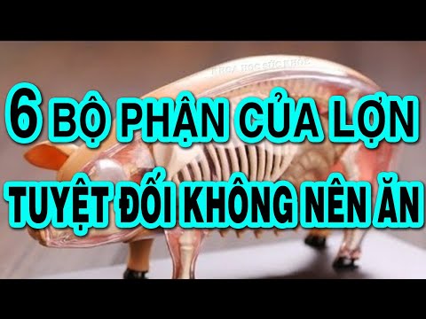 ốc mít heo là gì