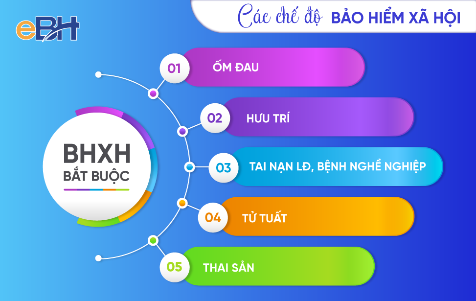 Chế độ người tham gia bảo hiểm xã hội bắt buộc được hưởng