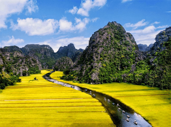 Ninh Bình có bao nhiêu xã phường?